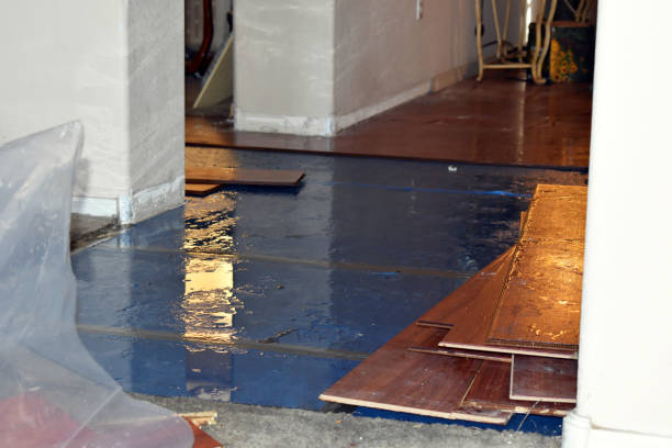 Professional Crawl Space Water Removal technician working in Halifax, MA